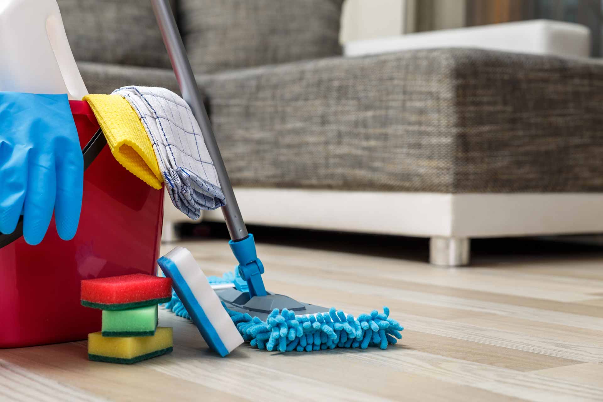 Mop, bucket, and some sponges on the floor in front of a couch